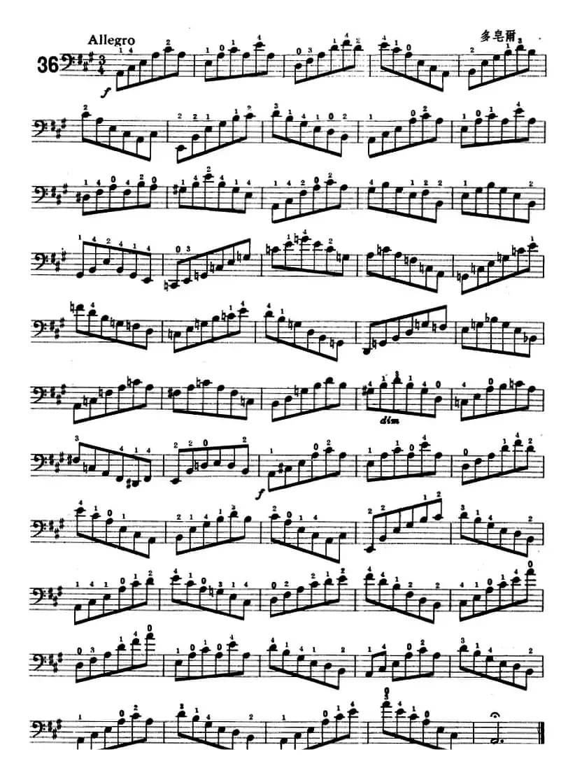 鲍斯特列姆大提琴练习曲（35-36）