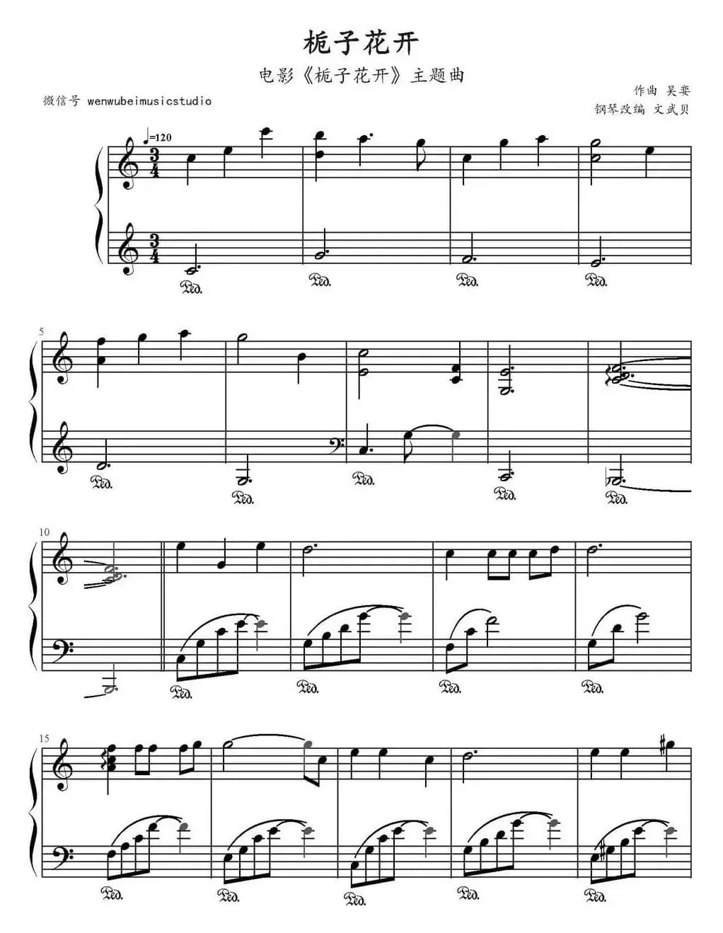 栀子花开（电影《栀子花开》主题曲、文武贝钢琴改编版）