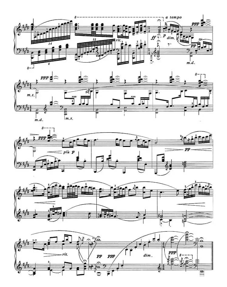 二泉映月（储望华改编版）