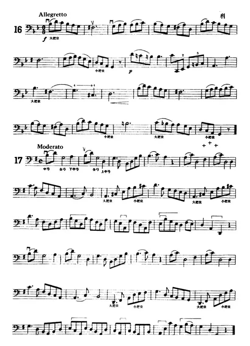 大提琴练习曲：大把位（16—21）