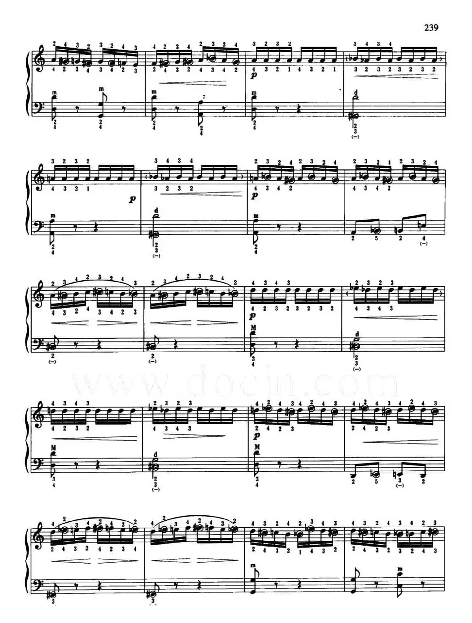 野蜂飞舞（带指法）