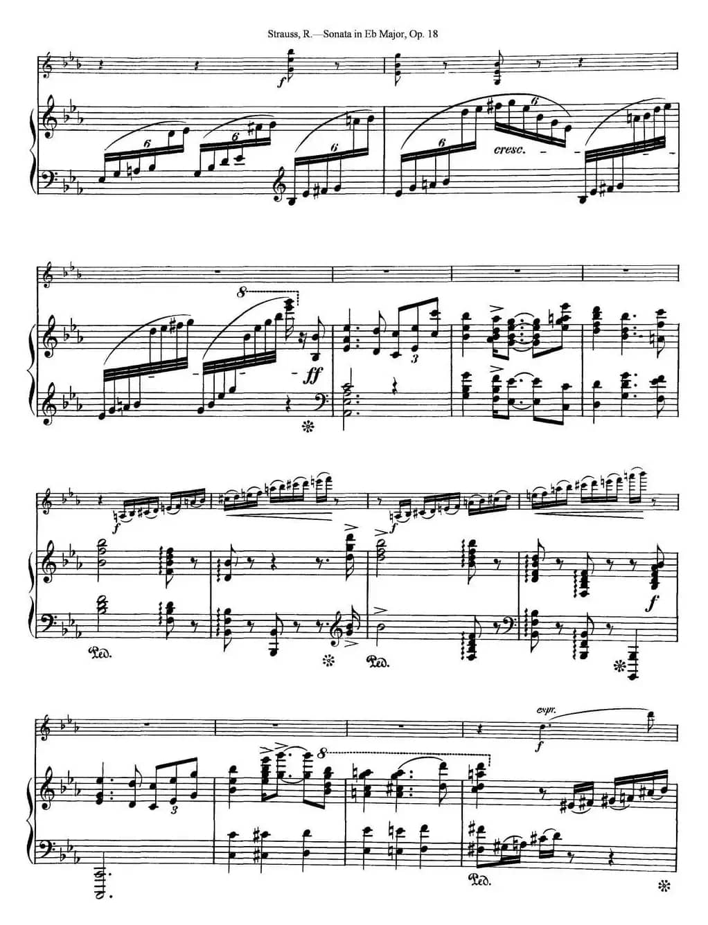 Violin Sonata in Eb Major Op.18（小提琴+钢琴伴奏）