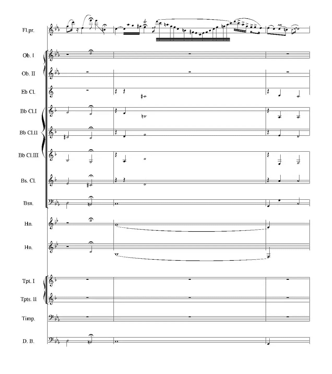 流浪者之歌（长笛与管乐队）