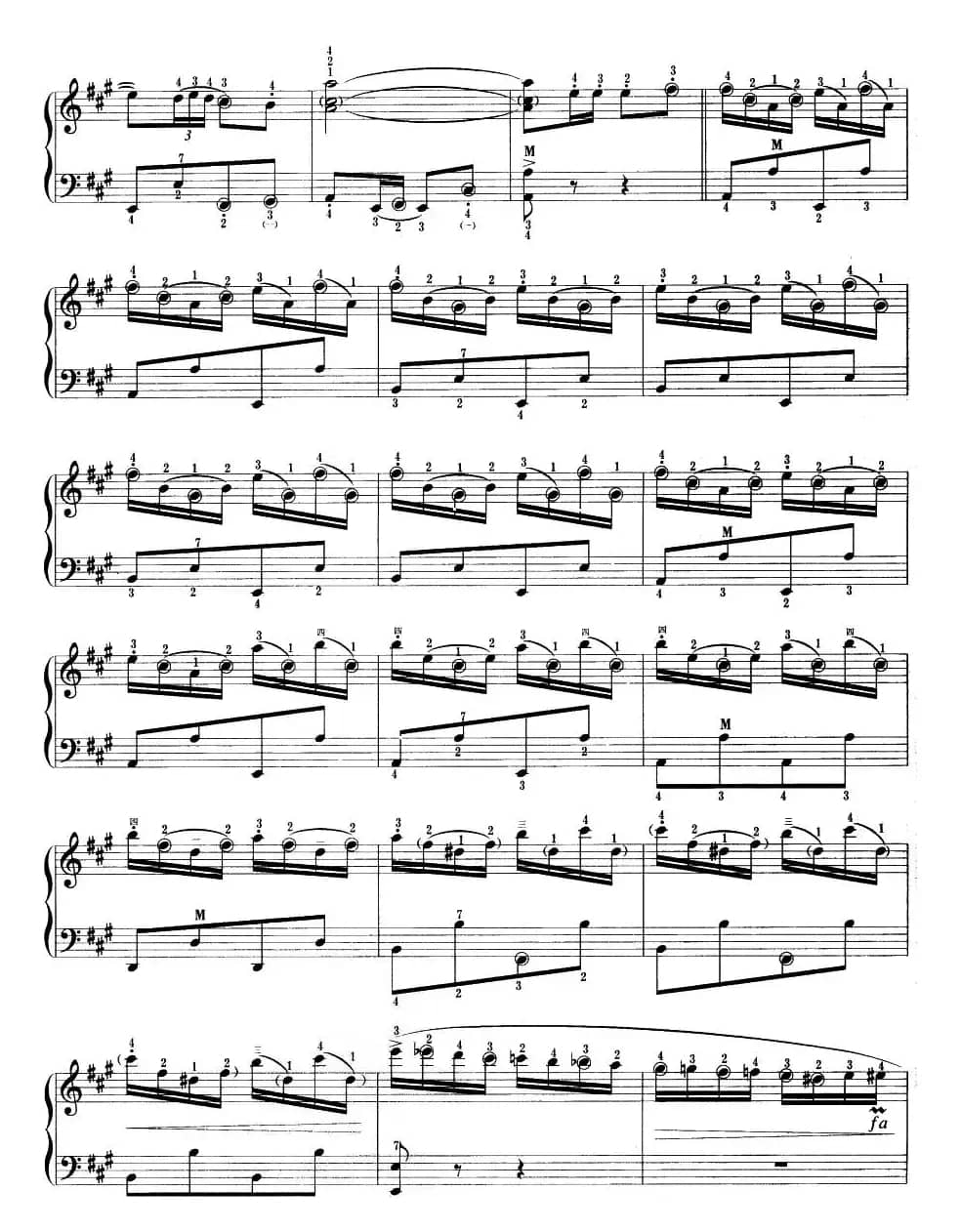 快乐的西班牙骑士