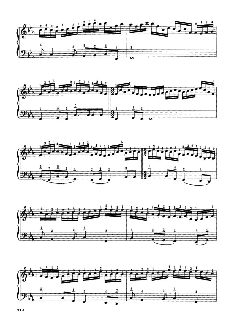 山丹丹开花红艳艳（张波、张信政改编版）