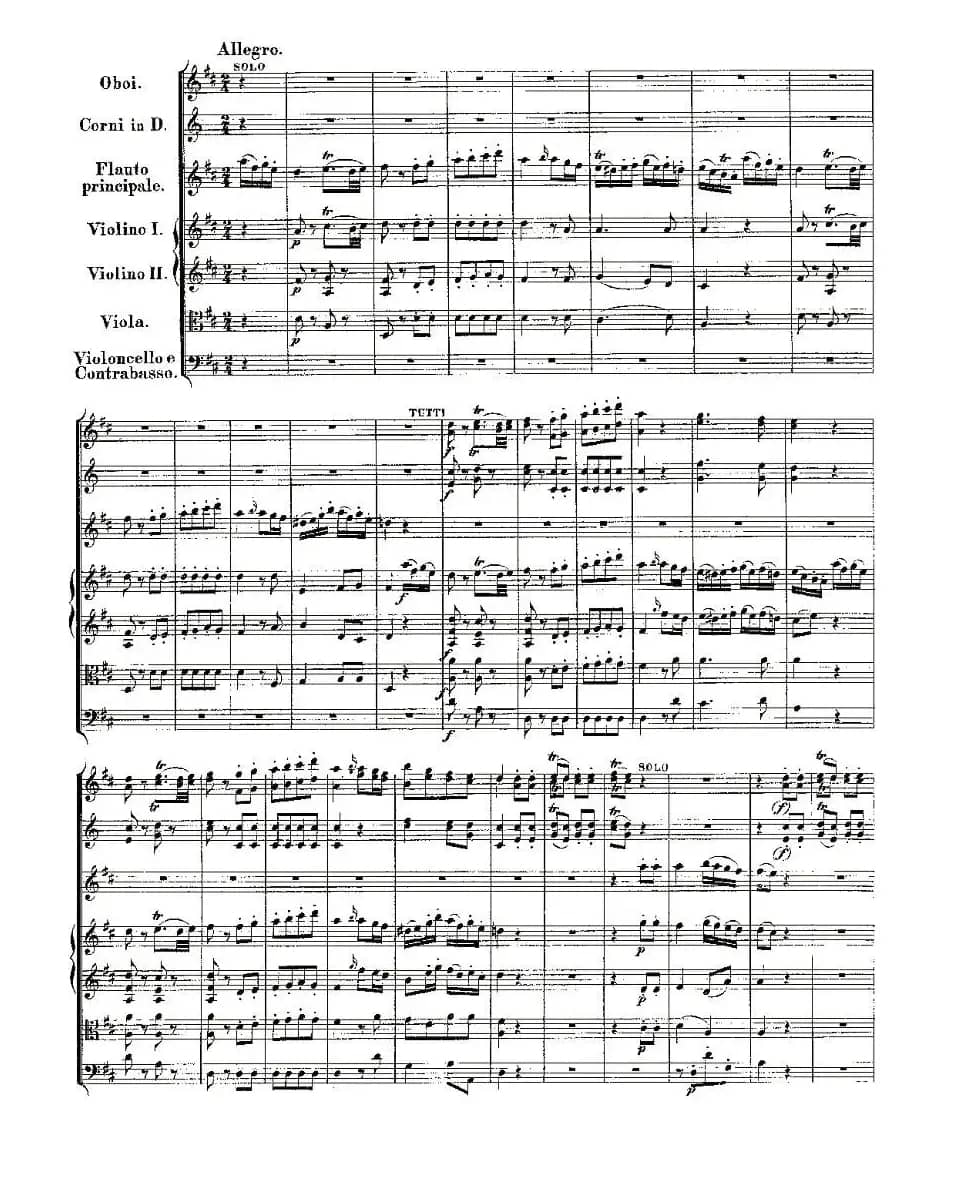 Concerto in D for Flute, K.314（D大调长笛协奏曲）