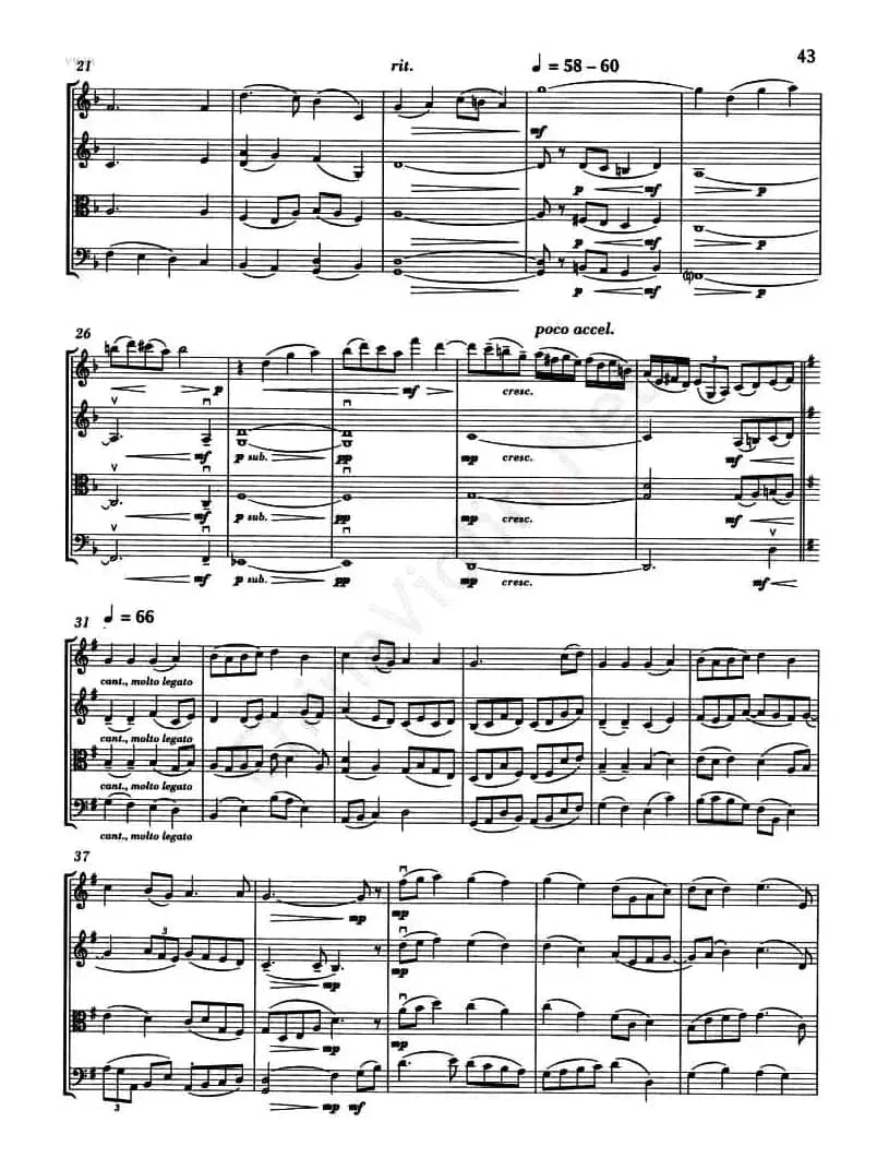 FOREST GREEN（绿色森林）（弦乐四重奏）