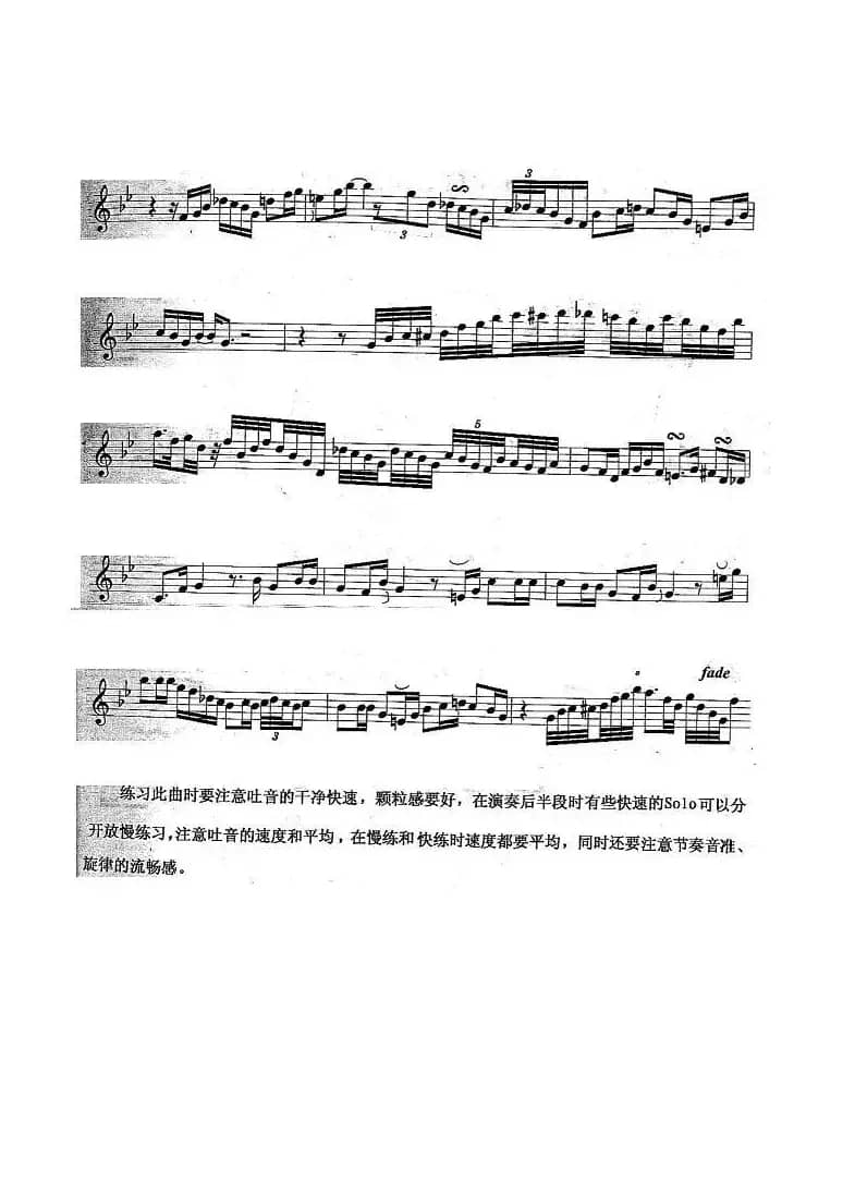 姊妹花（Sister Rose）