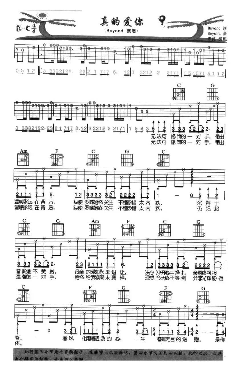 真的爱你（申健编配版）