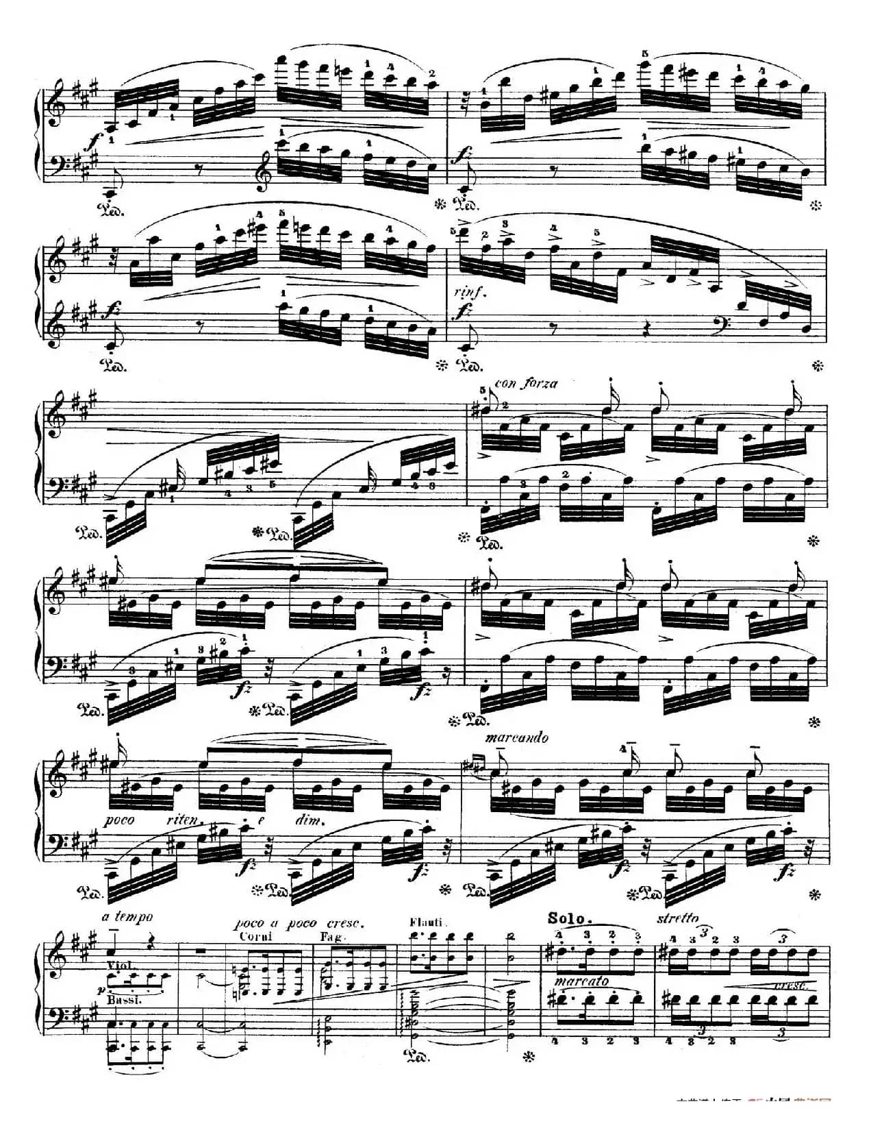 Grand Fantasy on Polish Airs Op.13（华丽的波兰民歌幻想曲·钢琴独奏版）