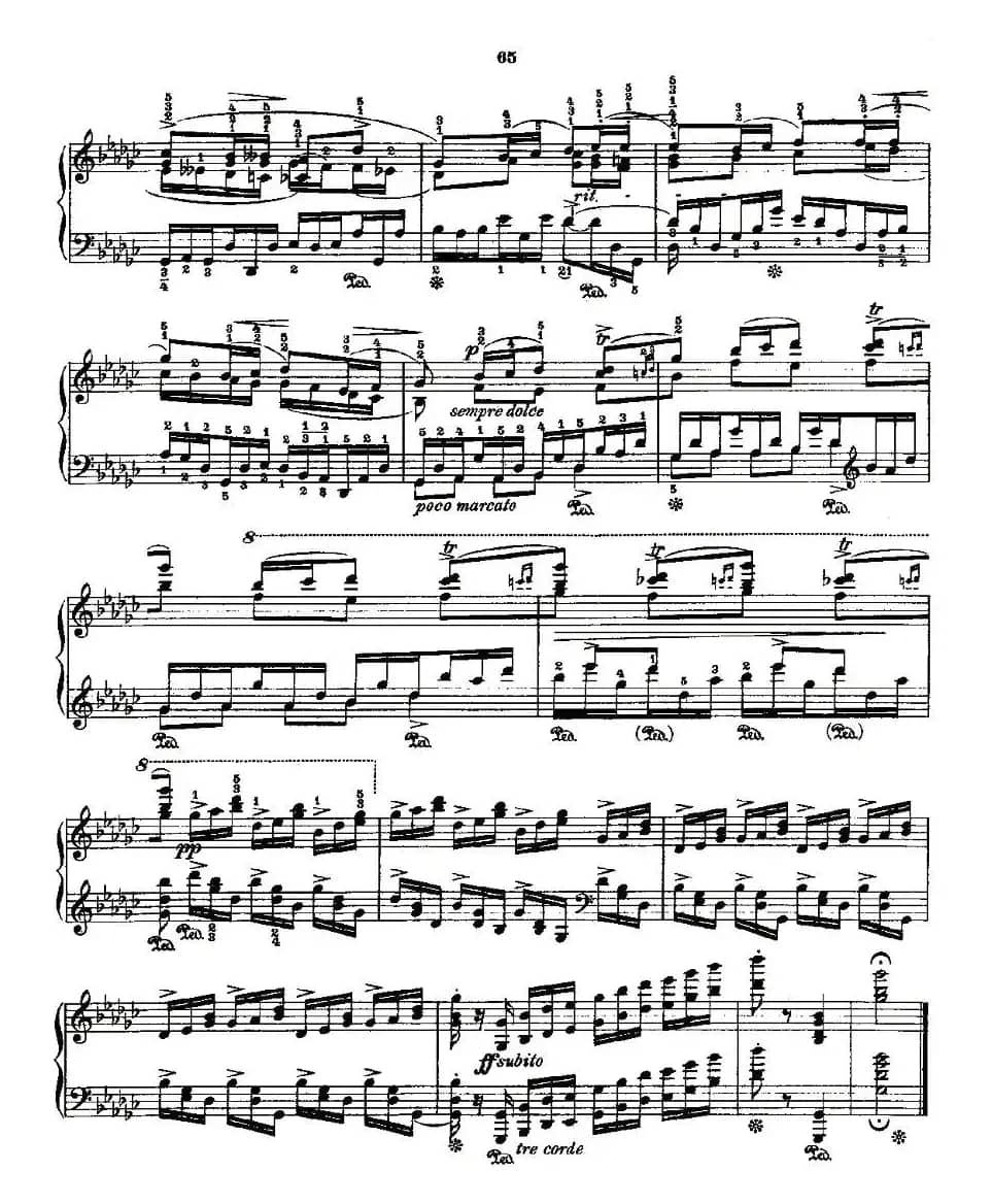 肖邦《练习曲》Fr.Chopin Op.10 No5-5