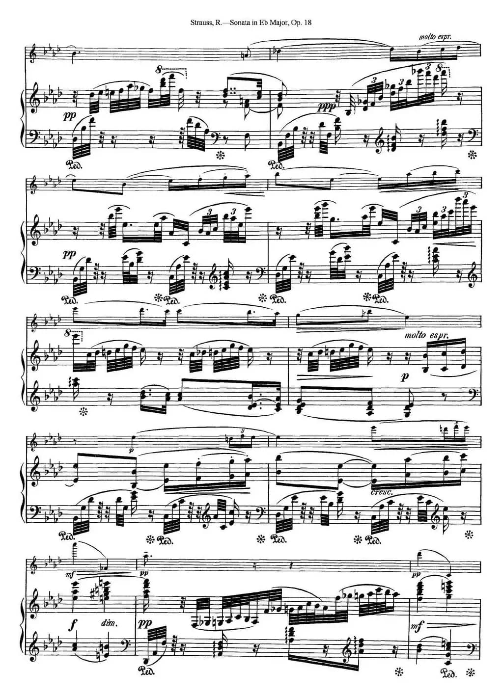 Violin Sonata in Eb Major Op.18（小提琴+钢琴伴奏）