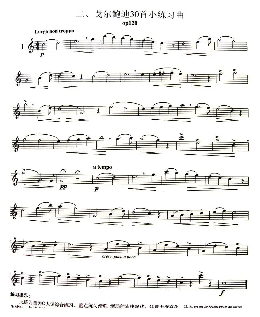 三十首小练习曲作品120号（NO.1）