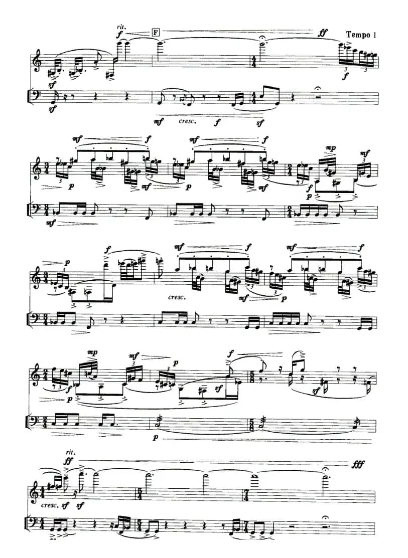 宠物日记（单簧管+定音鼓）