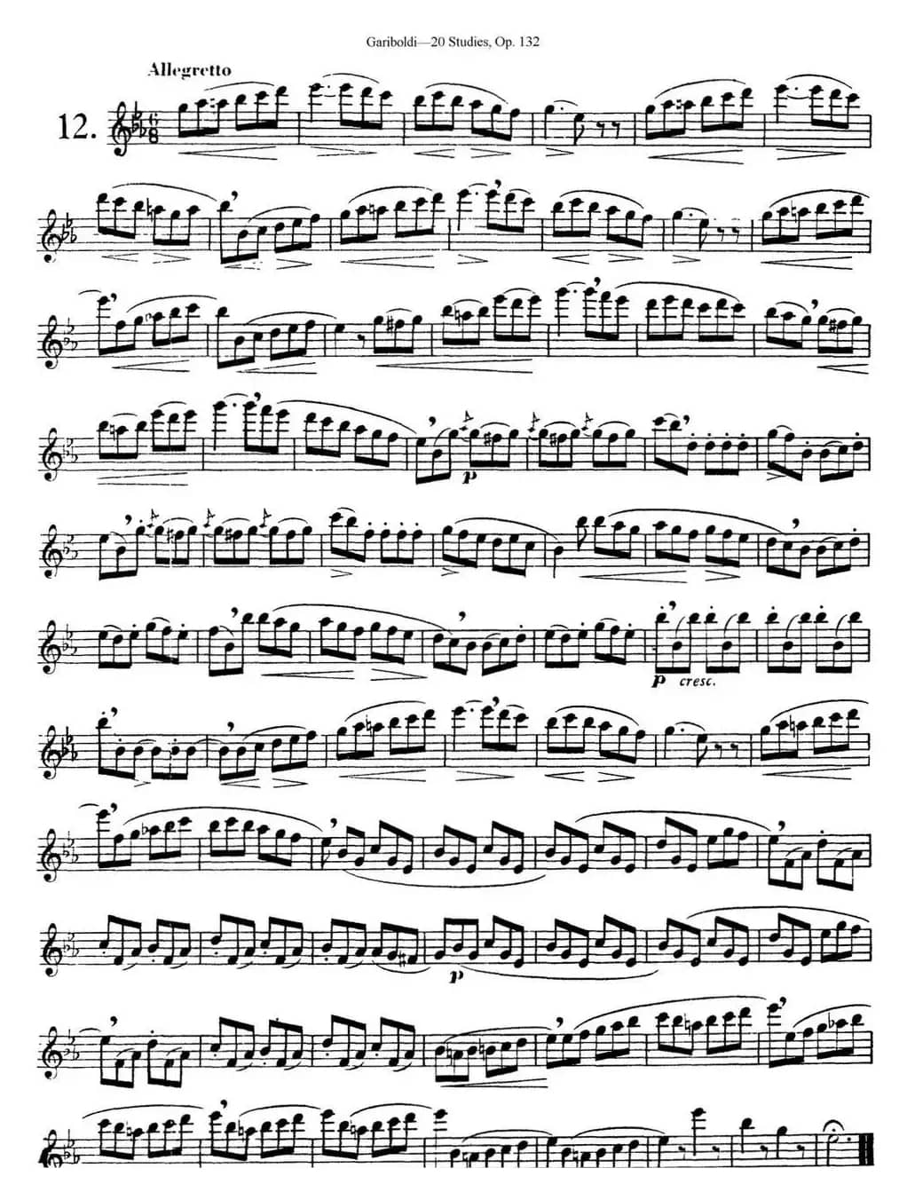 二十首练习曲作品132号之12