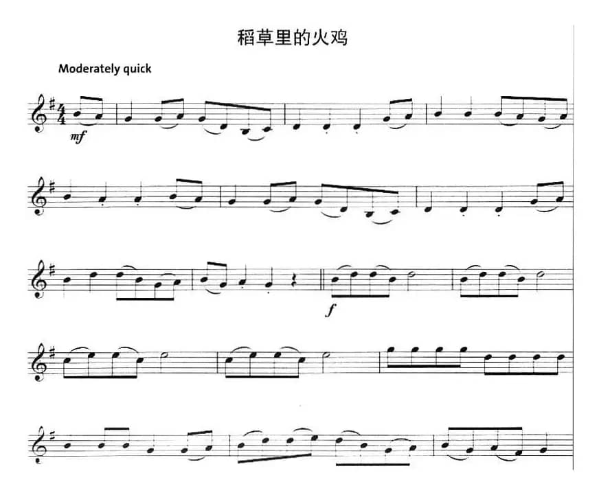 稻草里的火鸡