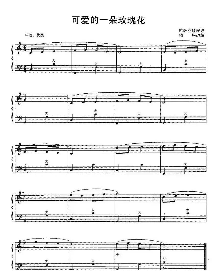 可爱的一朵玫瑰花