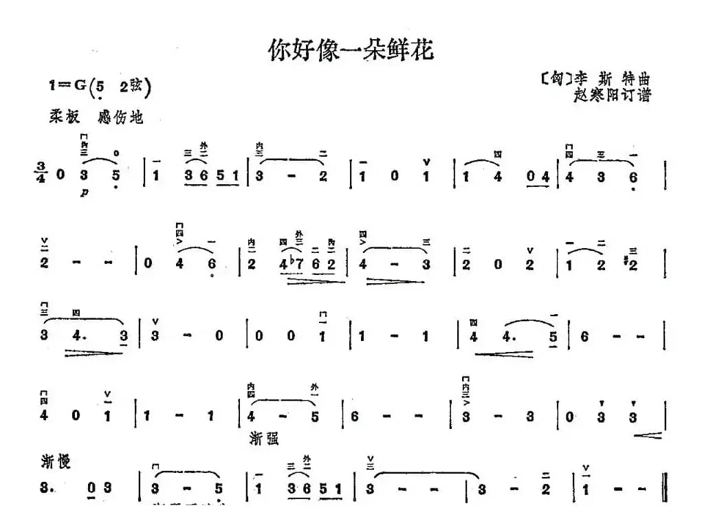 你好像一朵鲜花
