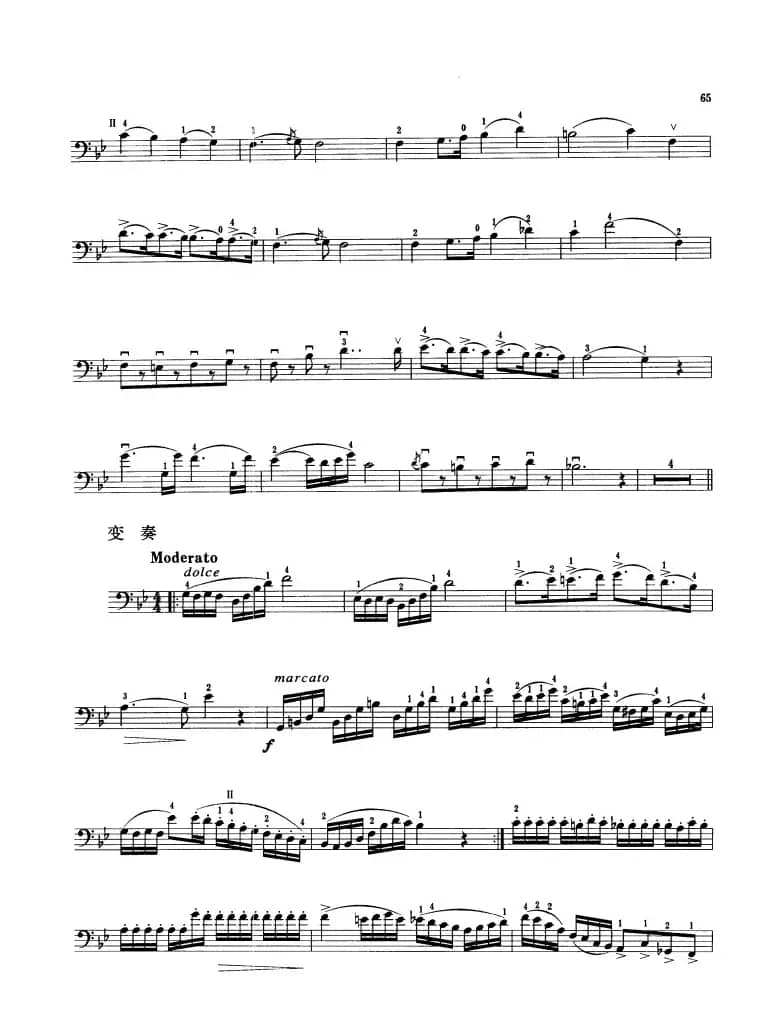 帕奇尼主题与变奏 （大提琴）