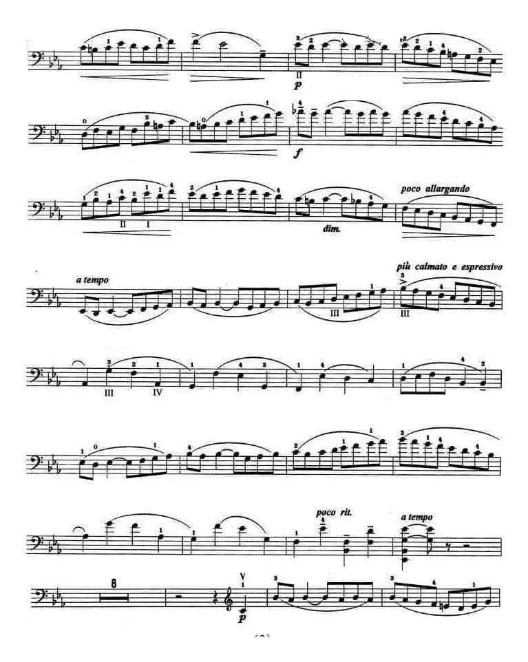 C小調协奏曲（第一乐章）