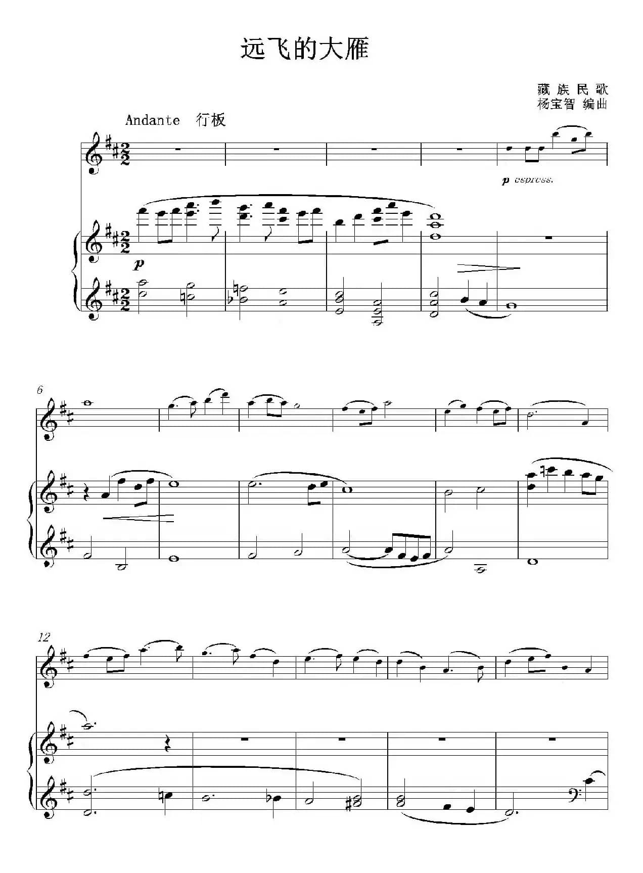 远飞的大雁（小提琴+钢琴伴奏）