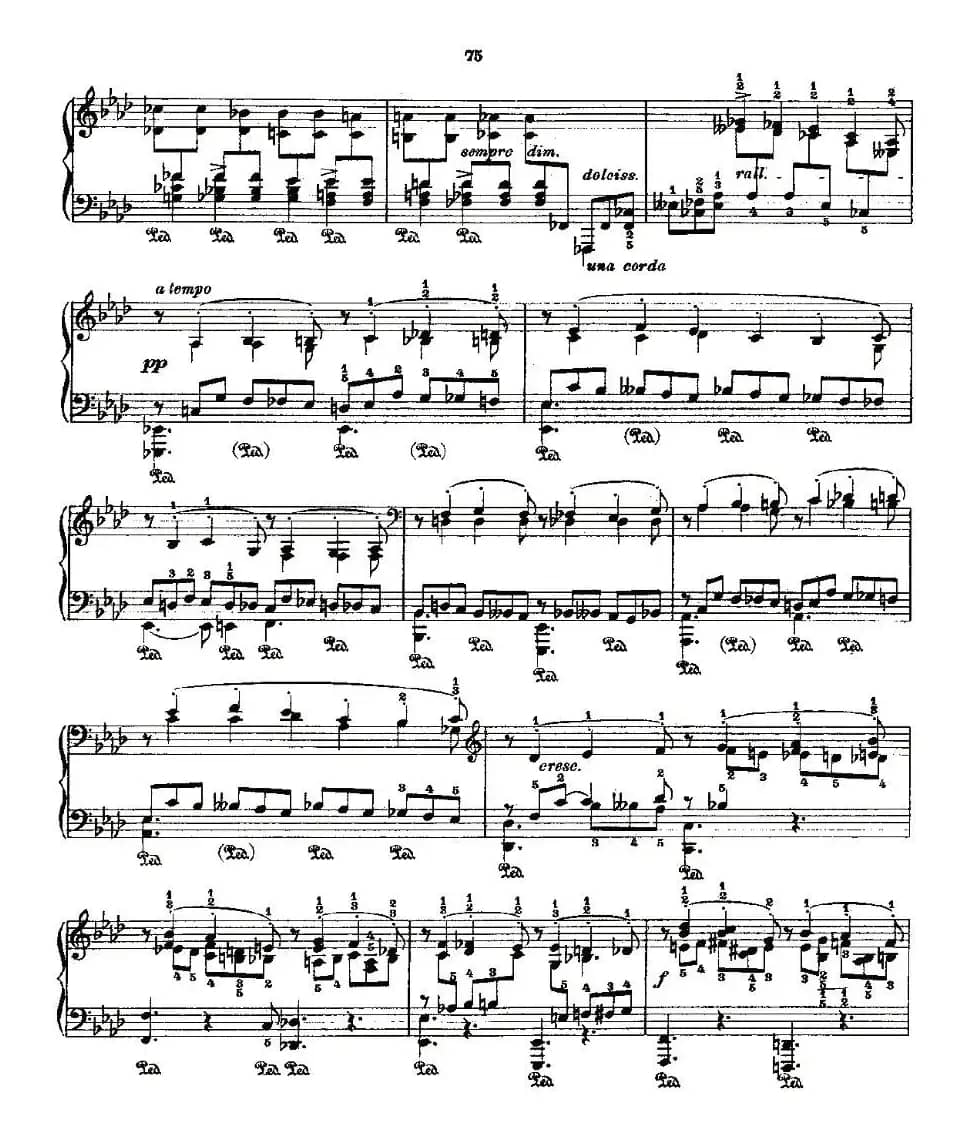 肖邦《练习曲》Fr.Chopin Op.10 No10-2