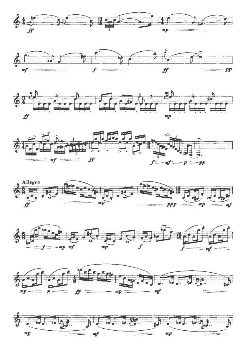 湘愫（单簧管）