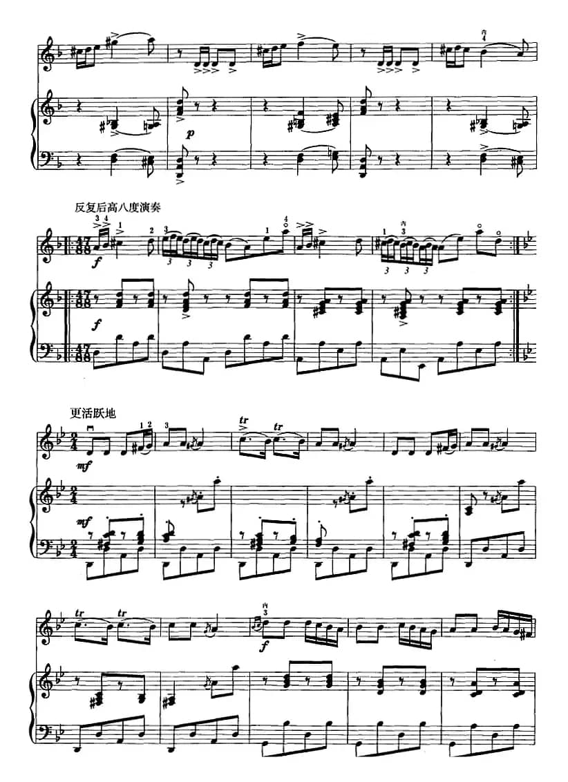 阳光照耀着塔什库尔干（二胡+钢琴伴奏）