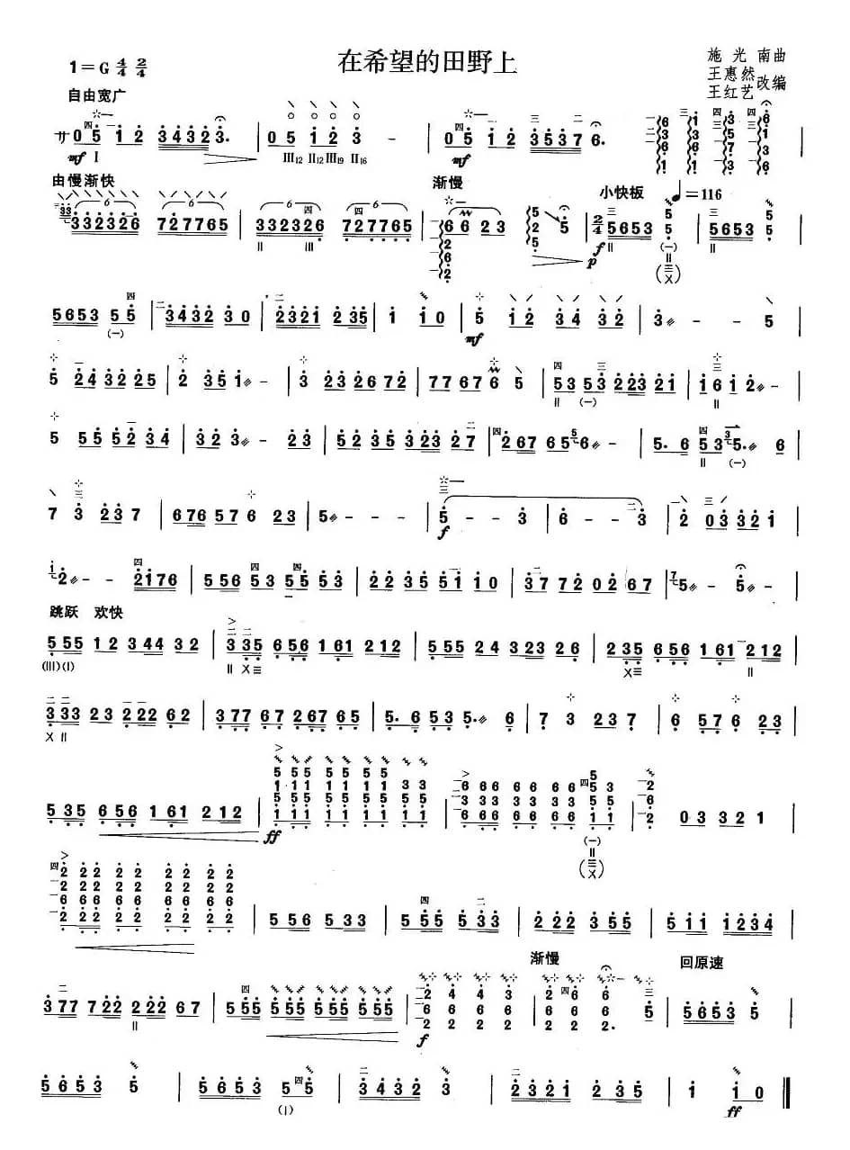 柳琴考级曲目四级：在希望的田野上