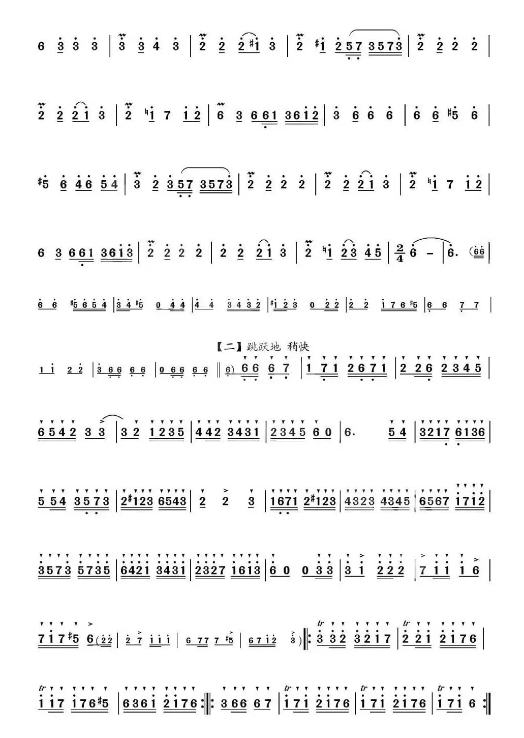 帕米尔的春天（梆笛独奏）