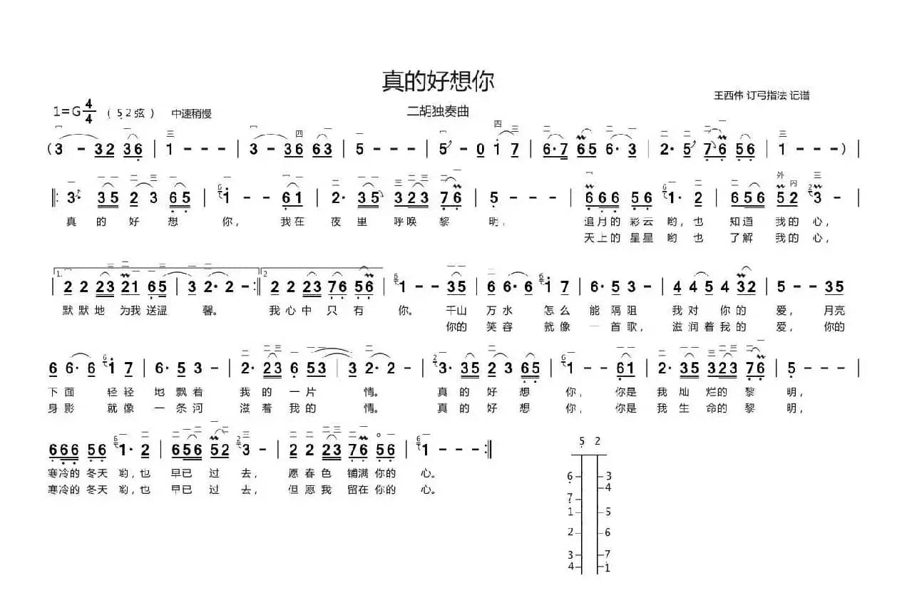 真的好想你（二胡独奏、带歌词版）