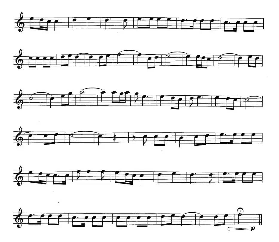 老橡树上的黄丝带