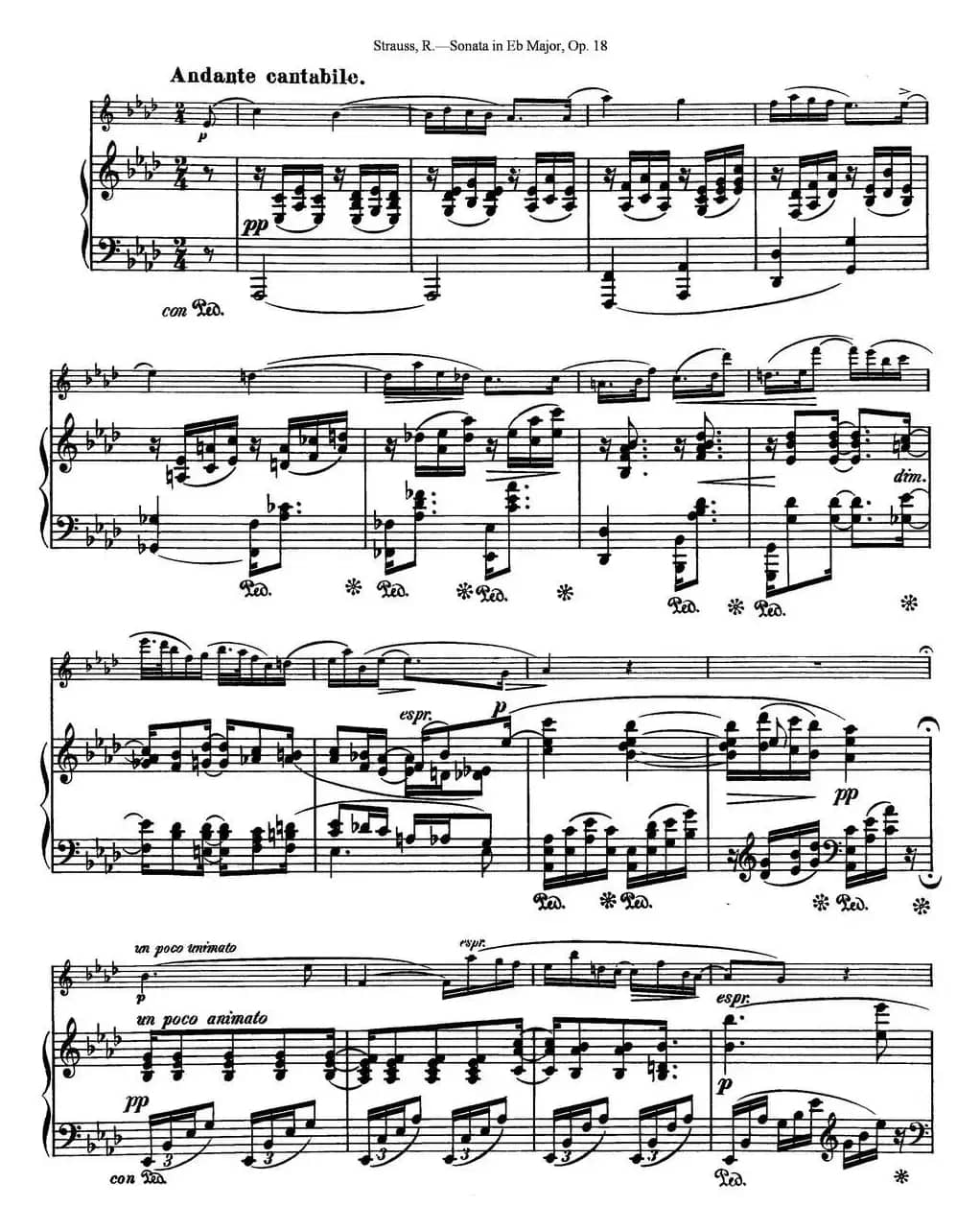 Violin Sonata in Eb Major Op.18（小提琴+钢琴伴奏）