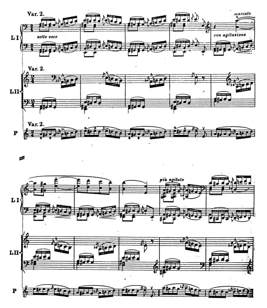 6首帕格尼尼大练习曲（Thema mit Variationen Etude Nr.6）