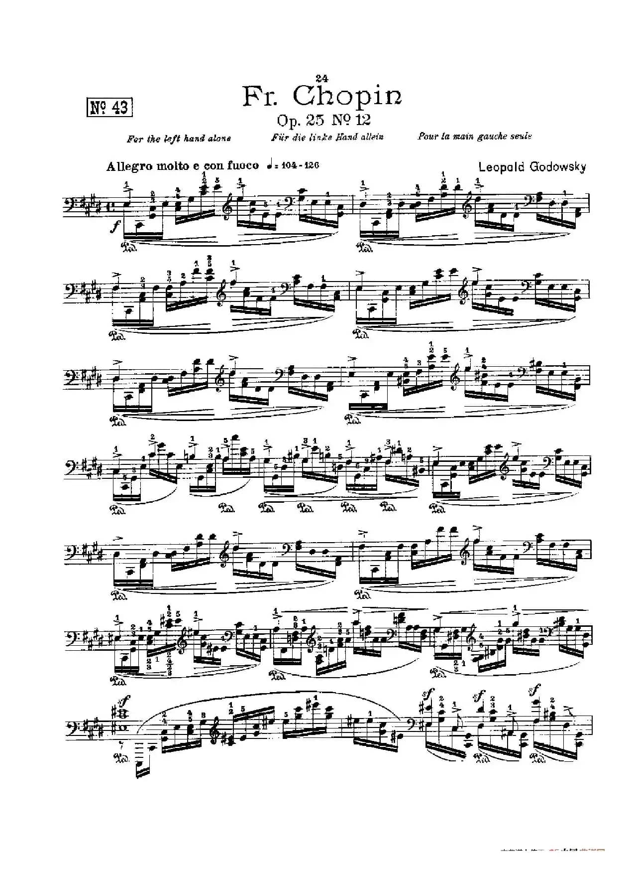 53首以肖邦练习曲为素材而作的练习曲（No.43）