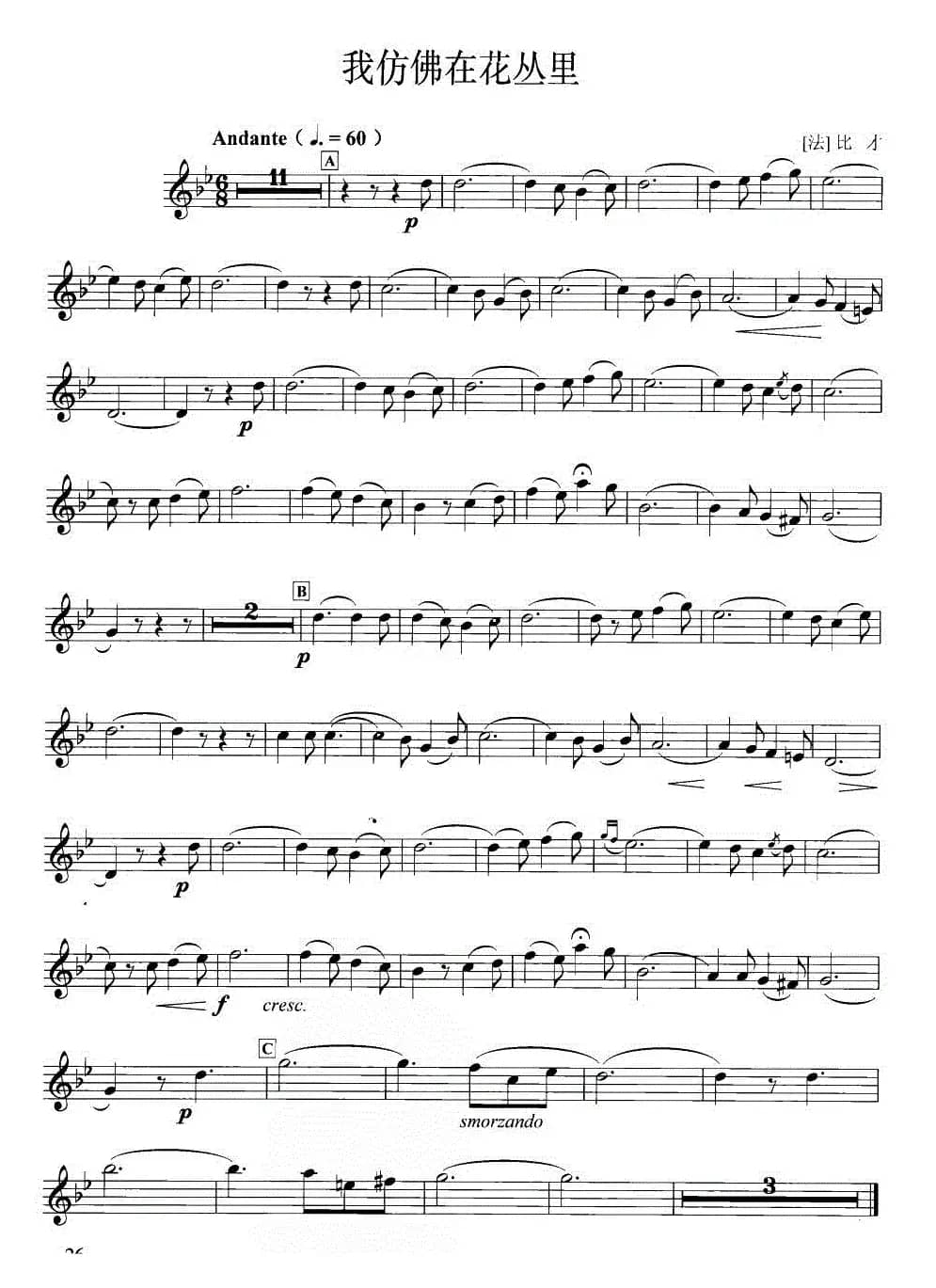 我仿佛在花丛里