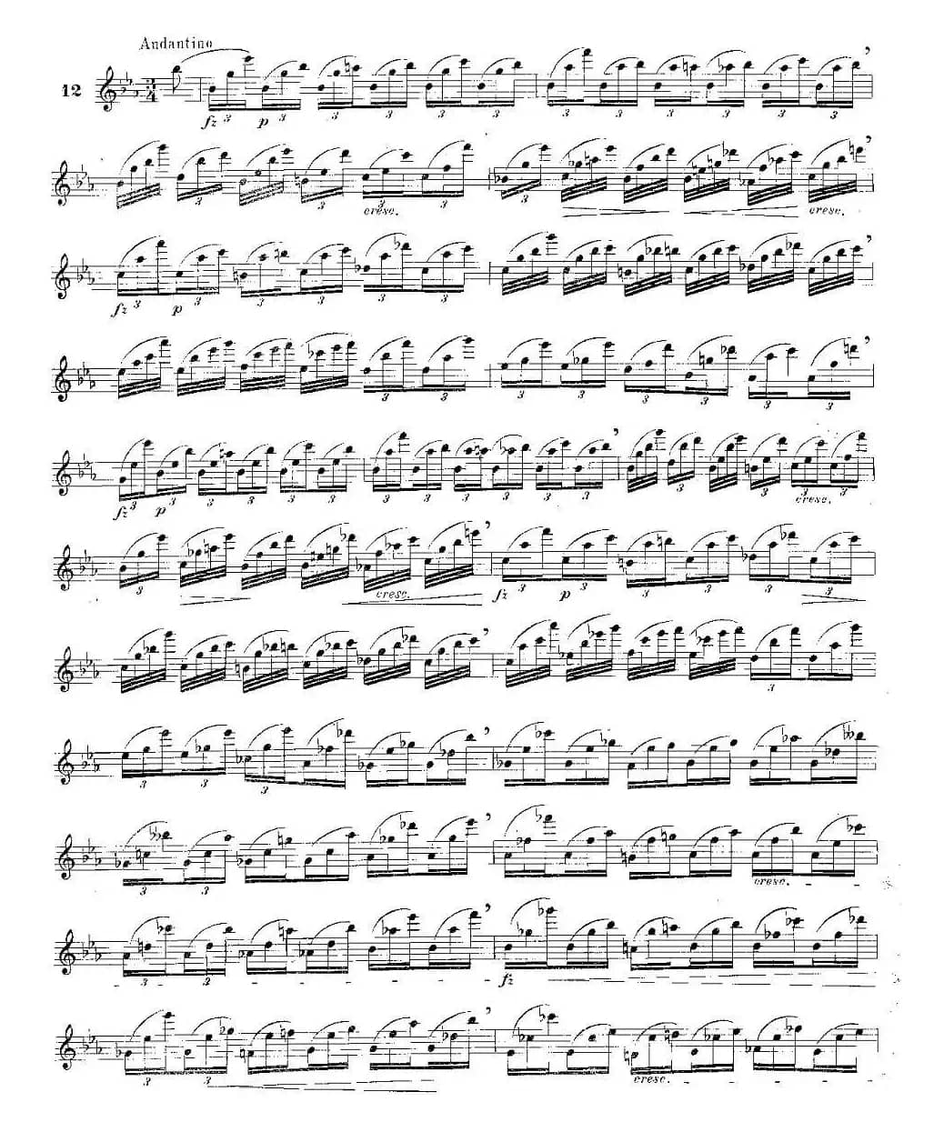 12首大技巧练习曲之12