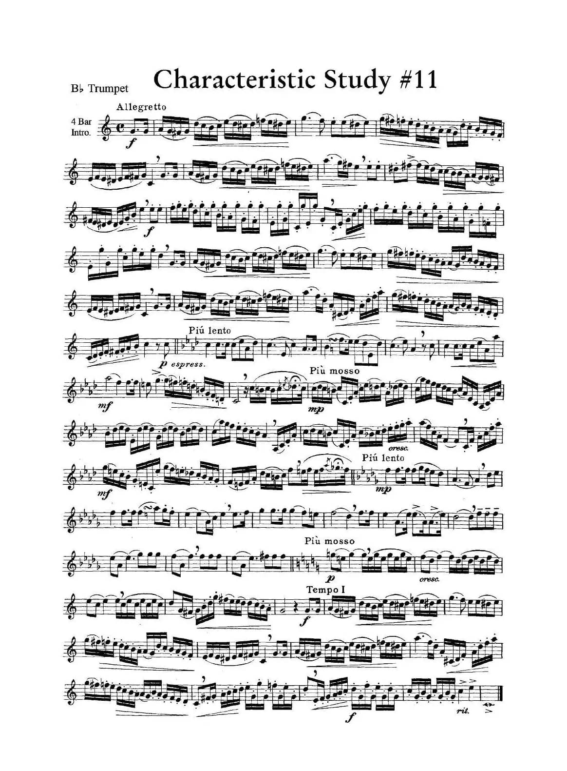 Characteristic Study #11 （小号）