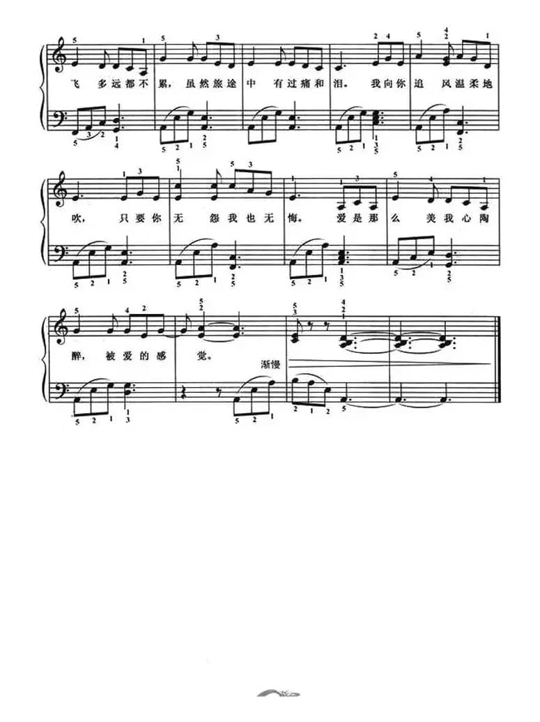 雨蝶（弹唱谱）