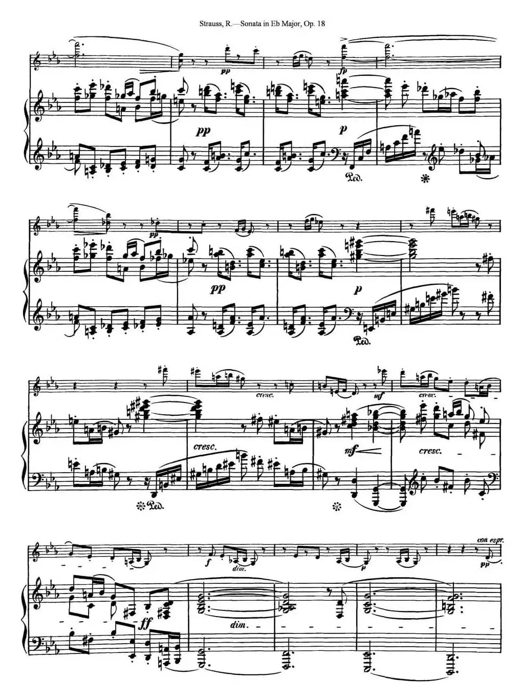 Violin Sonata in Eb Major Op.18（小提琴+钢琴伴奏）