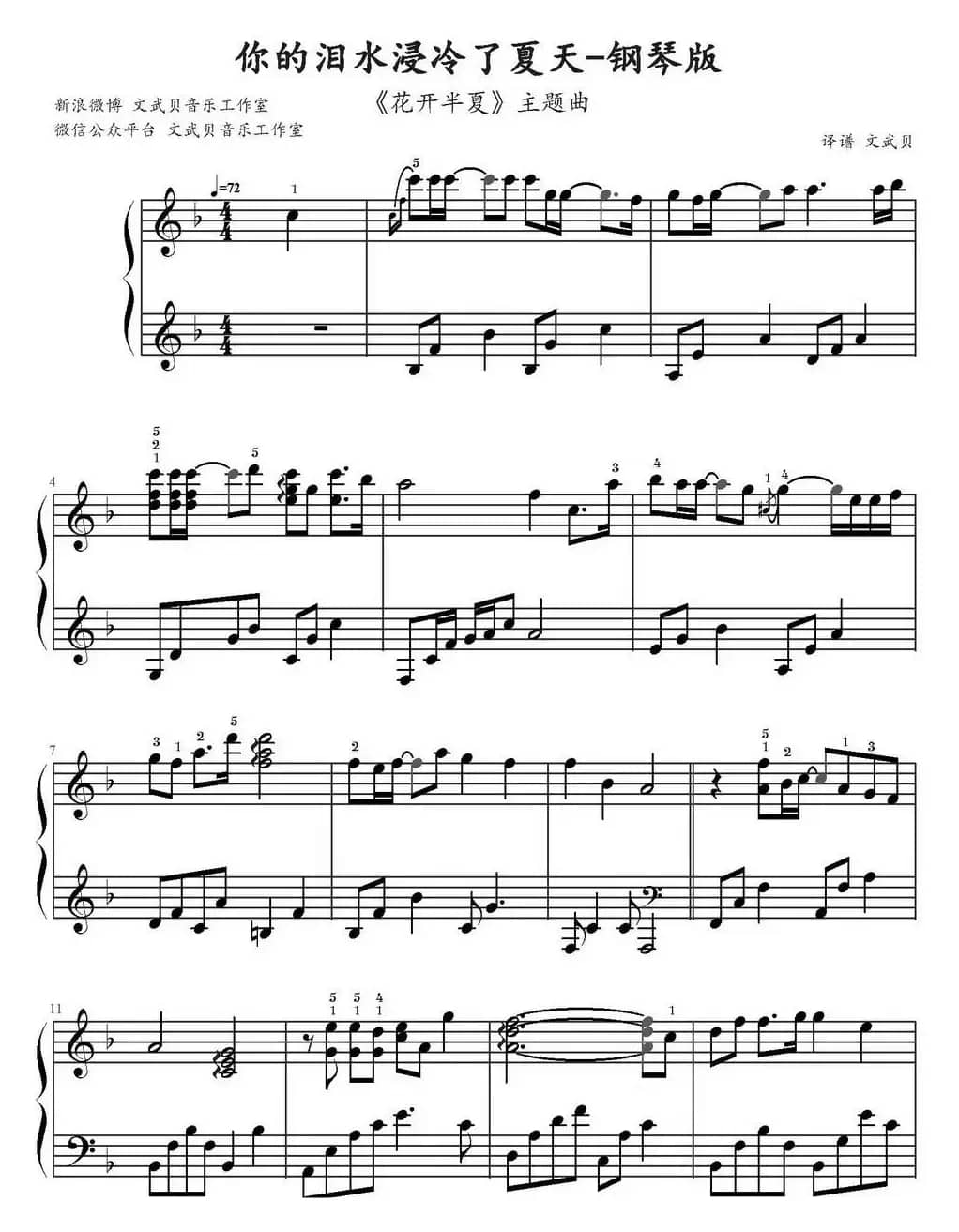 你的泪水浸冷了夏天（《花开半夏》主题曲、文武贝译谱版）