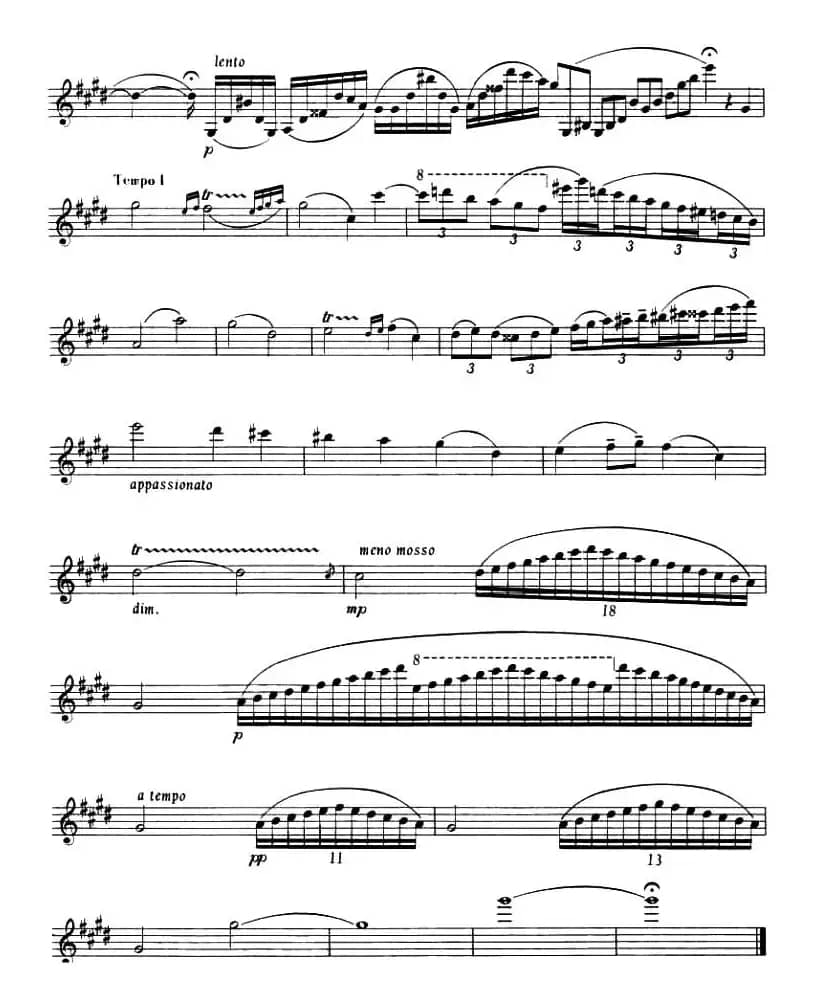 NOCTURNE