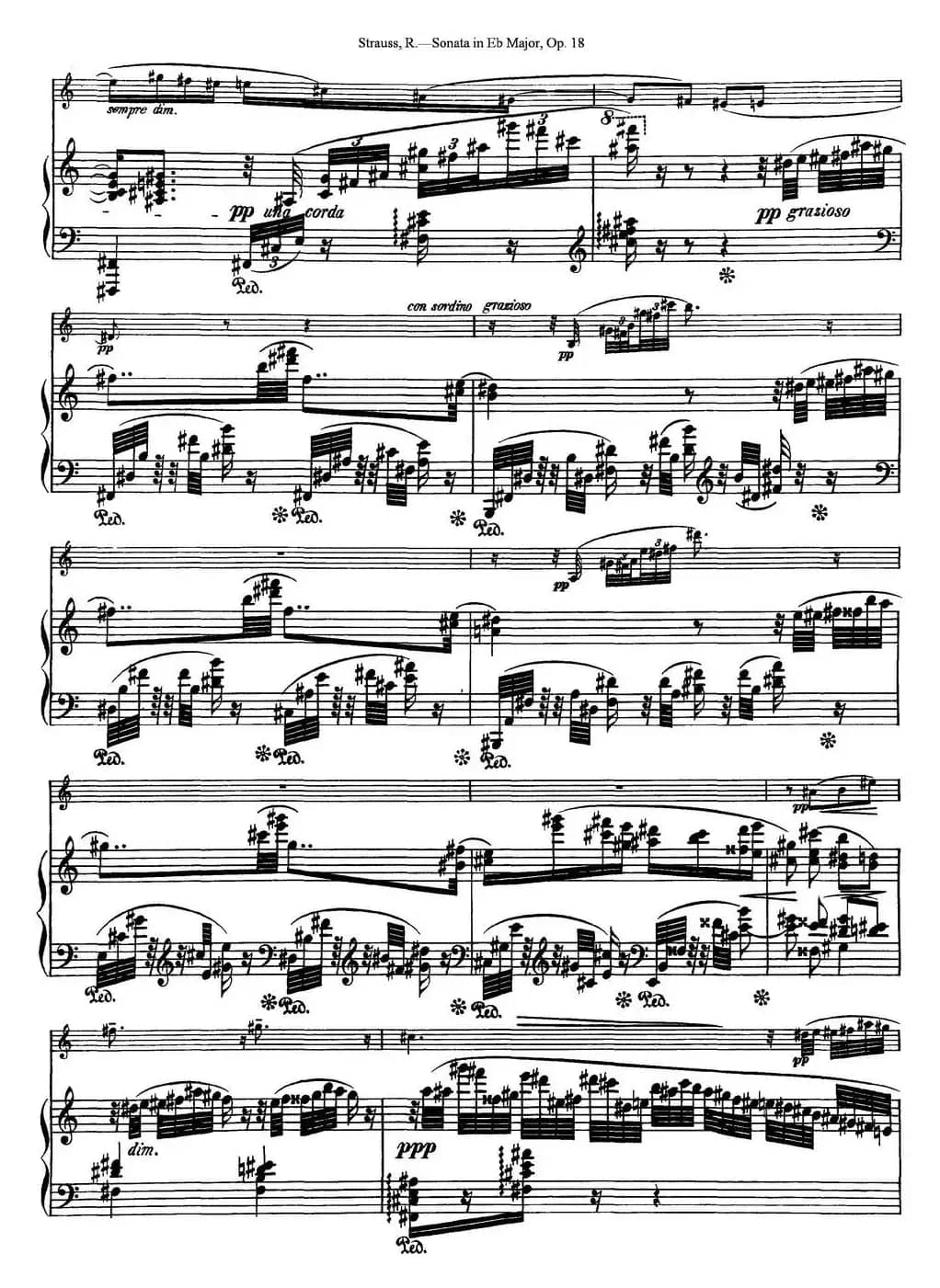 Violin Sonata in Eb Major Op.18（小提琴+钢琴伴奏）