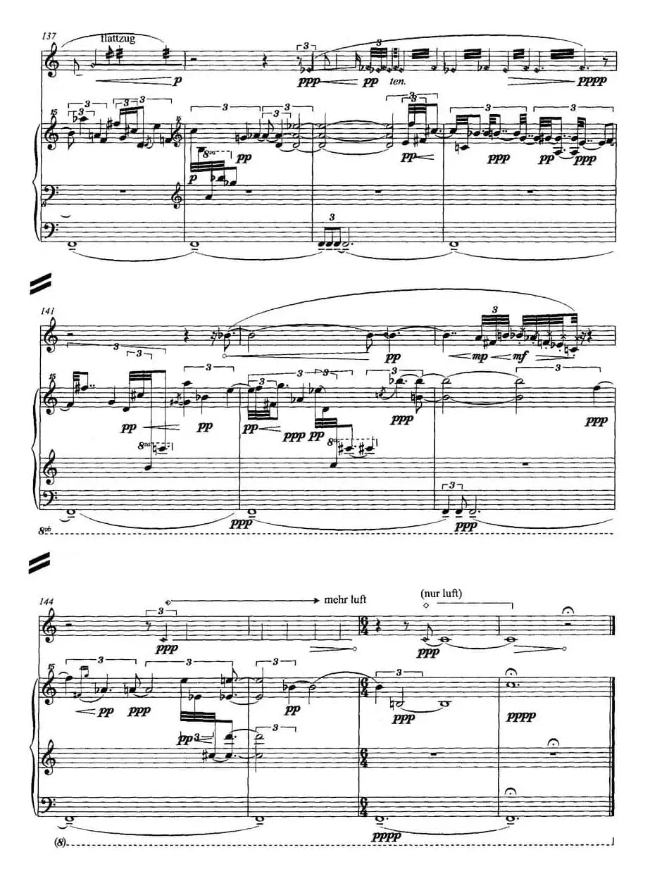 翔舞于无极之野（竹笛+钢琴）