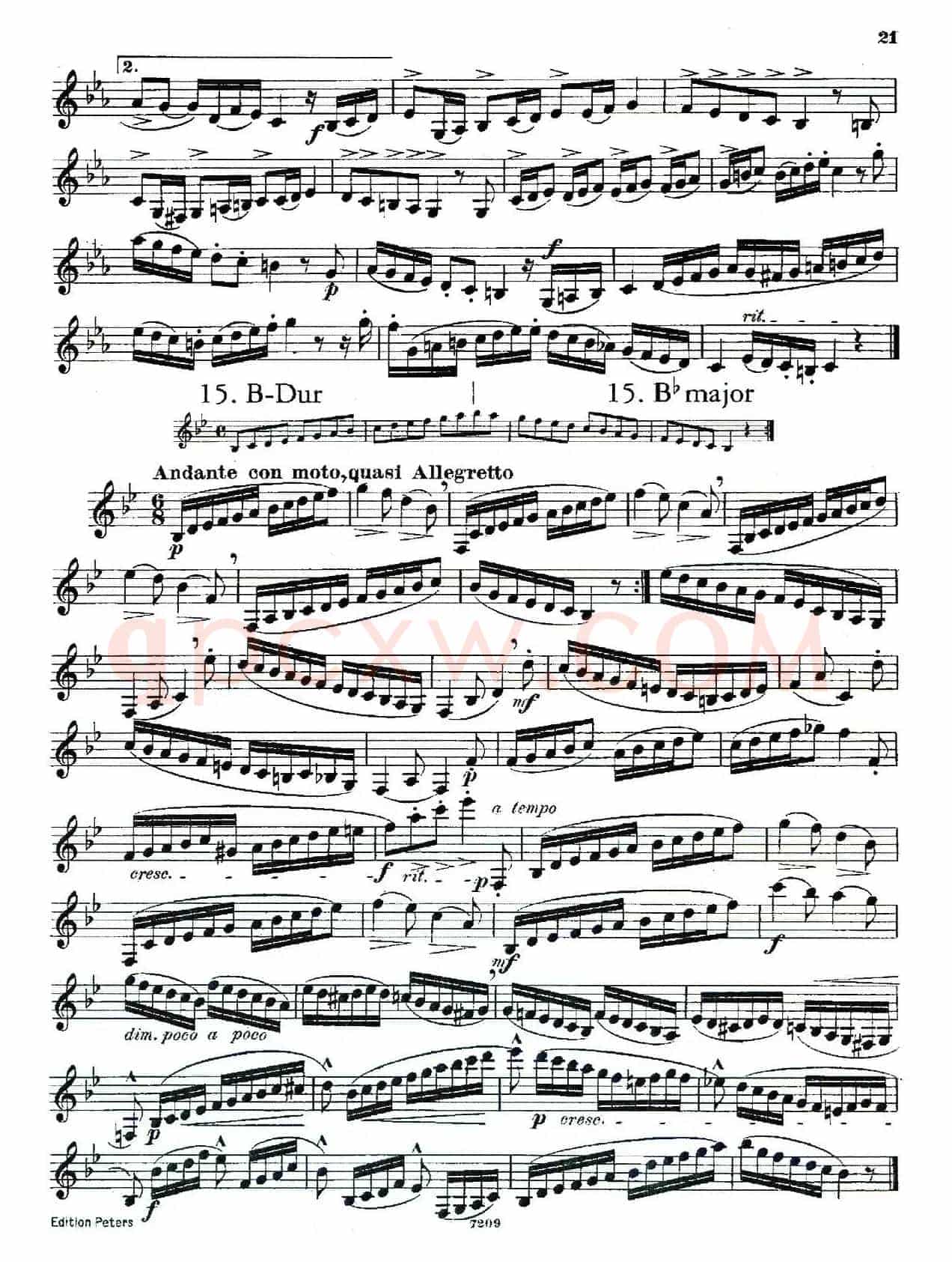 DEMNITZ（单簧管练习曲）