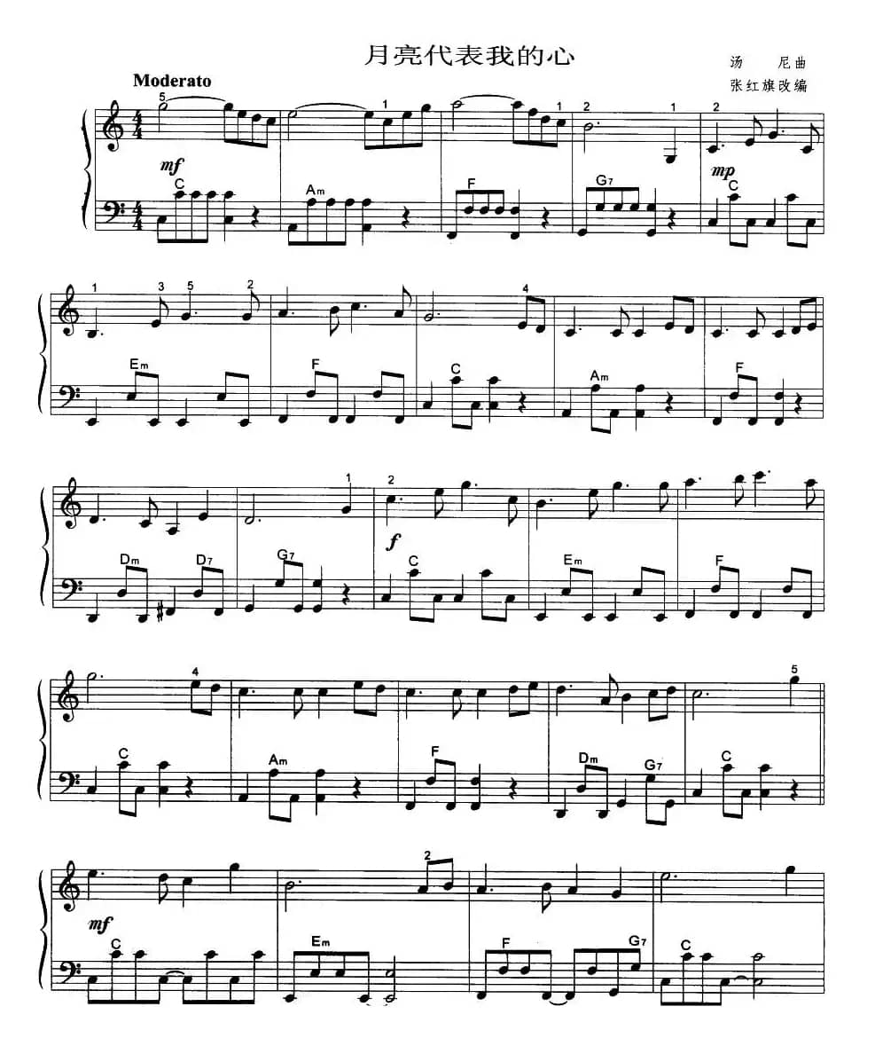 月亮代表我的心（张红旗改编版）