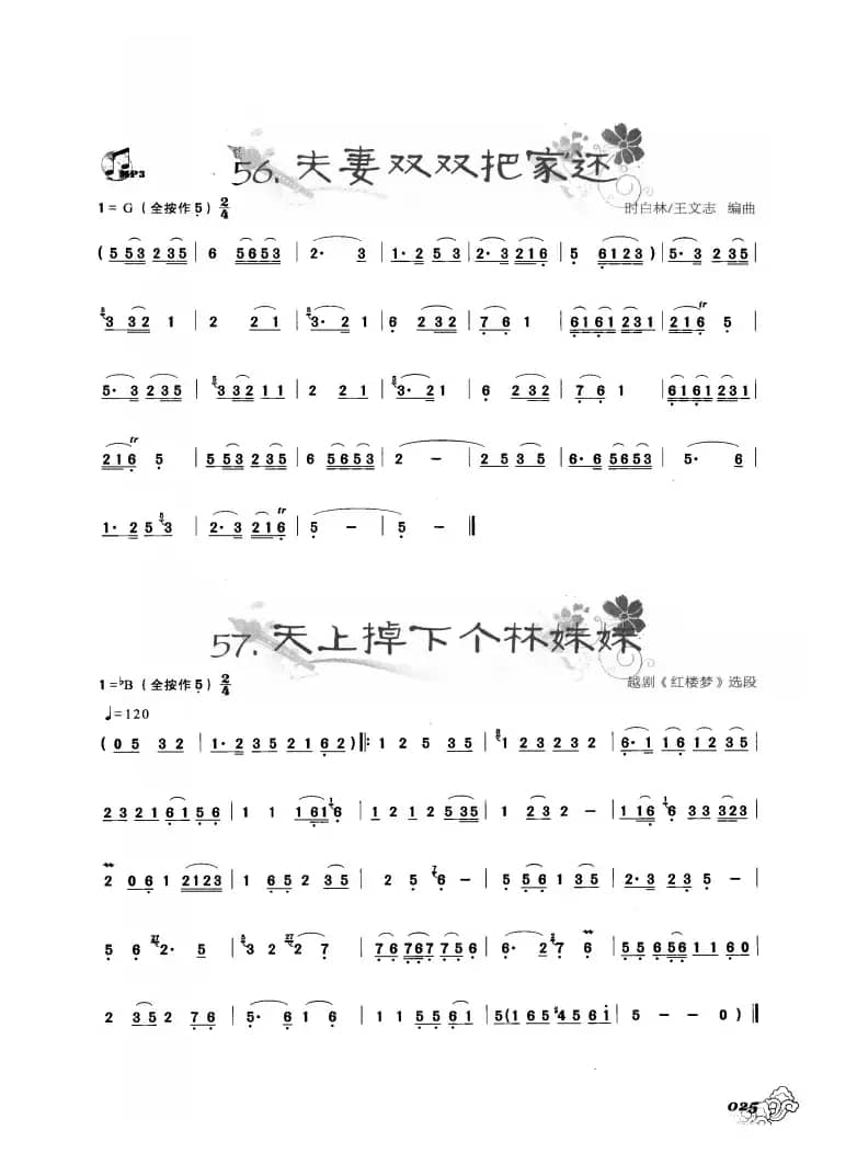 葫芦丝曲精选：夫妻双双把家还 天上掉下个林妹妹