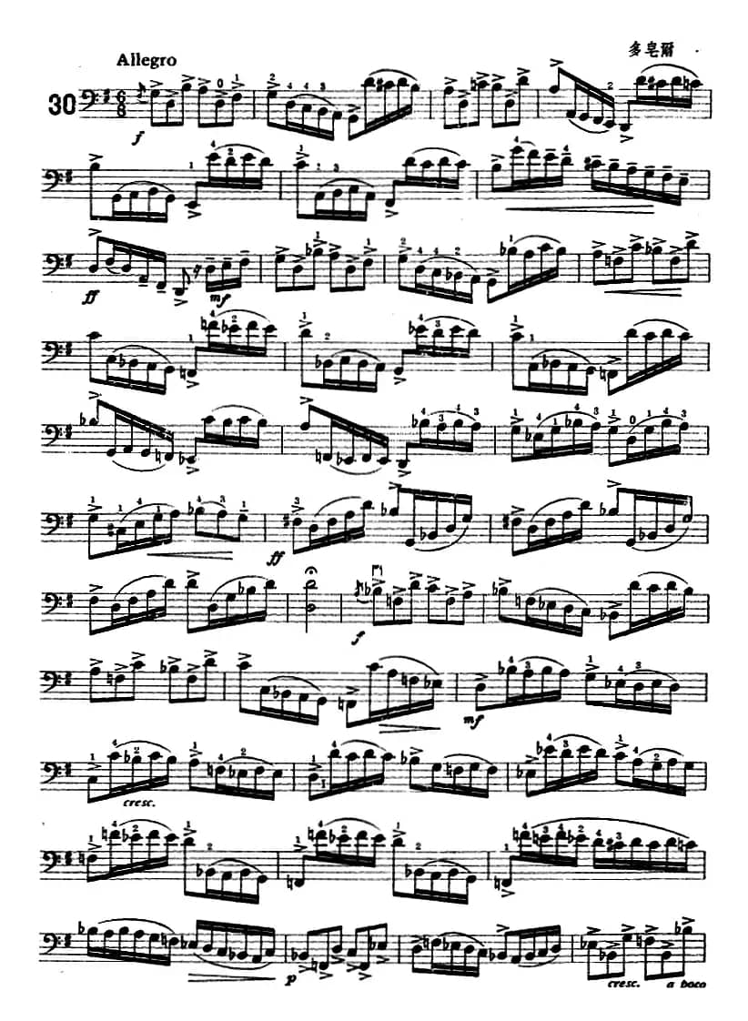 鲍斯特列姆大提琴练习曲（28-30）