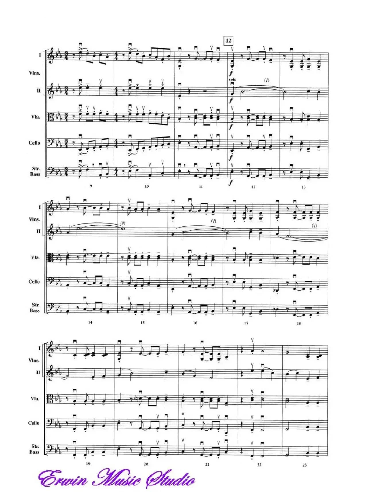 The Magnificent Seven（弦乐五重奏）