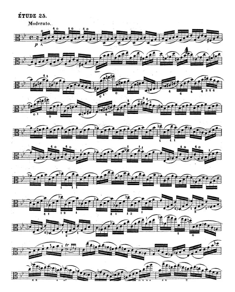 克莱采尔《中提琴练习曲40首》（ETUDE 24-26）